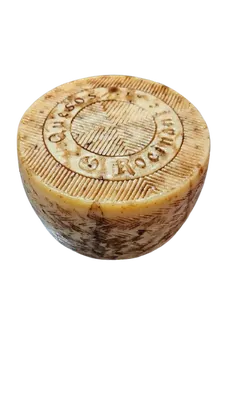 מנצ'גו כמהין